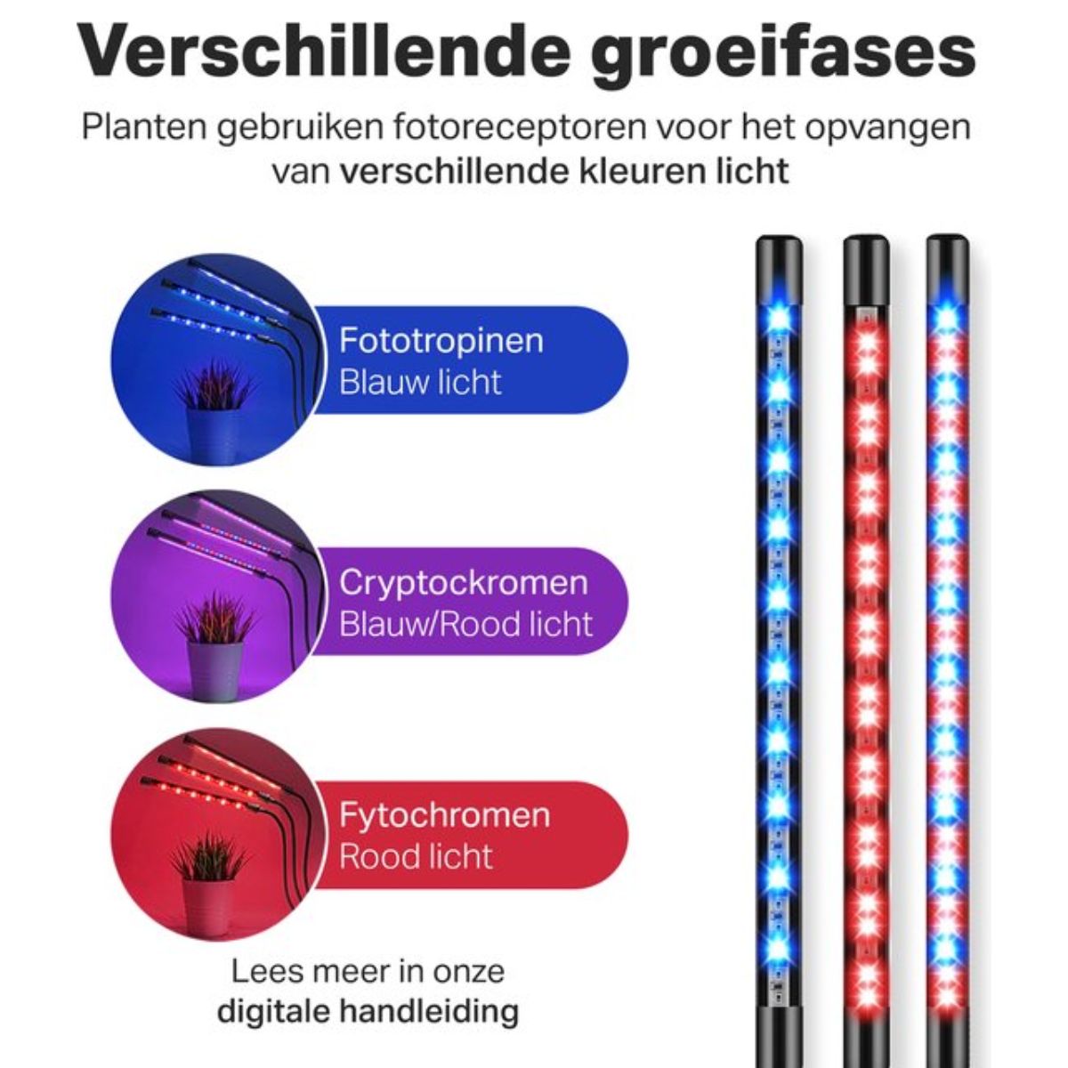 Kweeklamp - Wit Licht - 80 Leds - 40W