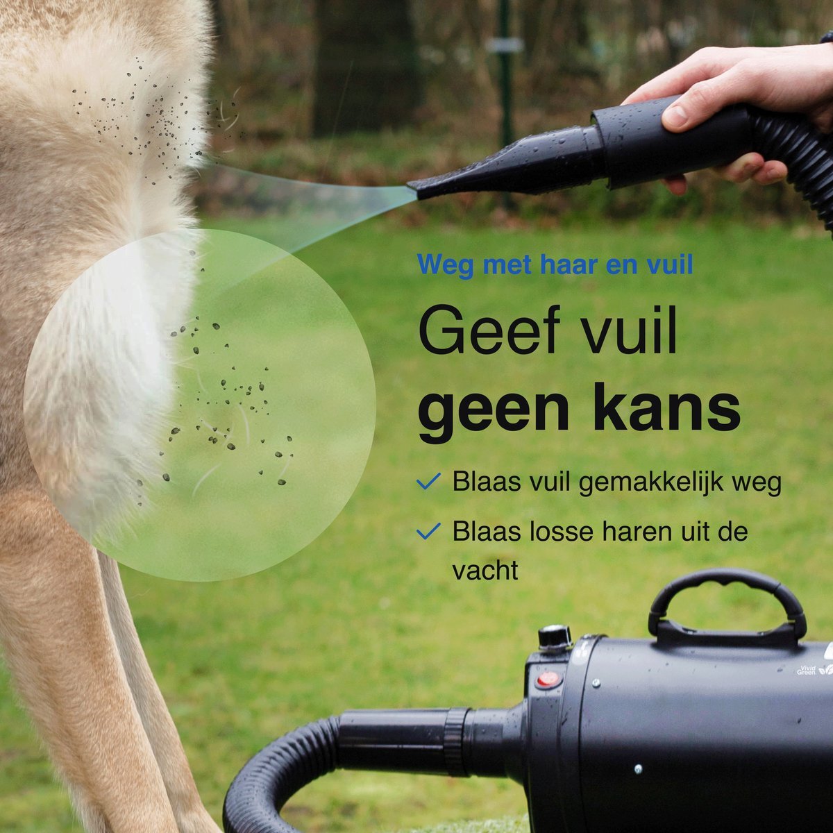 Hondenfohn met geluidsdemper 2800W - Waterblazer hond - Geschikt voor alle honden - Zwart